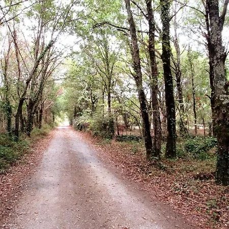 6 Pers Dans Un Ecrin De Verdure * Audenge